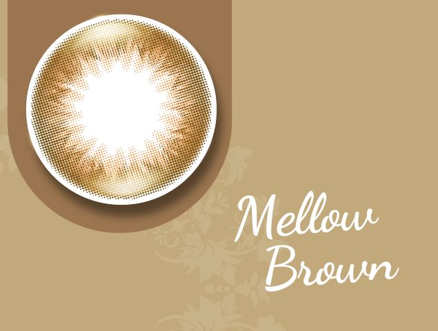 ลาเซลล์ เดลี่ ดิสโพสซิเบิล เมลโล่ บราวน์