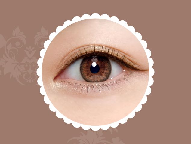 ลาเซลล์ เดลี่ ดิสโพสซิเบิล ทวิงเกิ้ล บราวน์